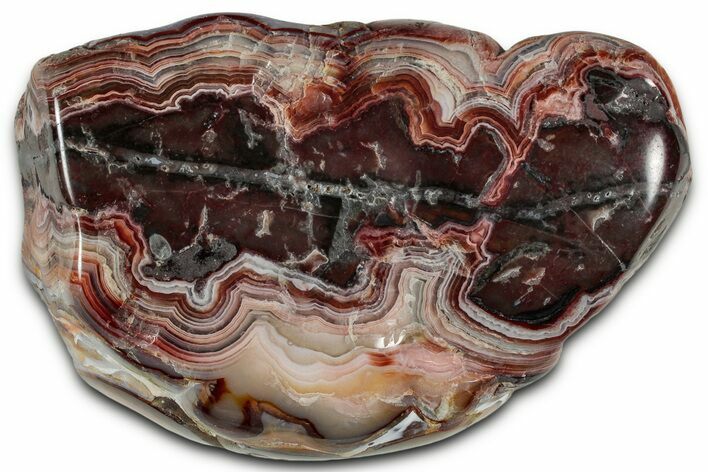 Polished Crazy Lace Agate - Mexico #326705